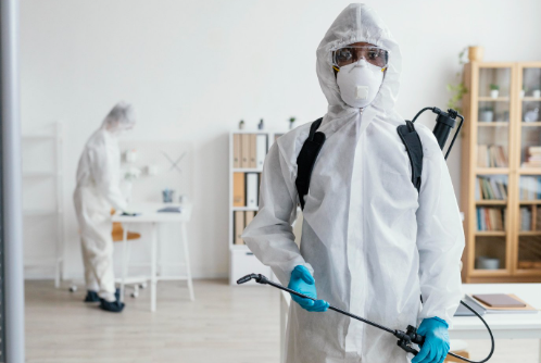 When to Call the Experts: Signs You Need Professional Pest Control